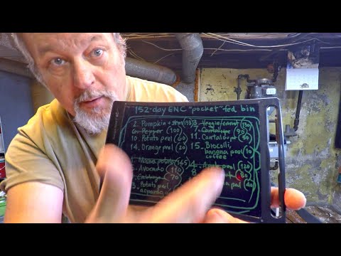 16th "pocket" feeding in 152-day ENC worm bin - vermicompost