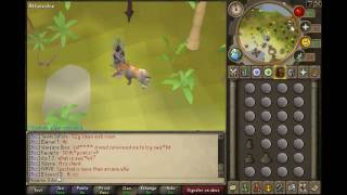 Graahk Tips and Tricks Guide