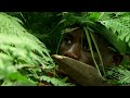 Virungas Land Of Ice And Fire Wildest Africa 4K
