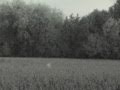 Interesting Night Video October 13 2010 Seen Today Comparison Video