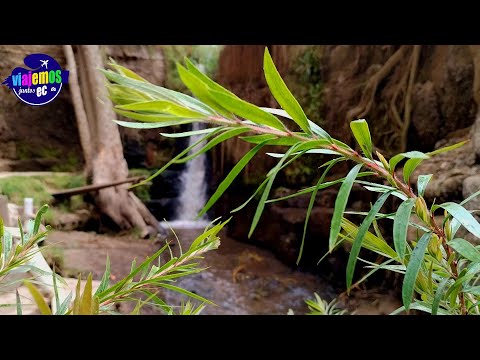 ¡IMPRESIONANTE! Así es la ruta a la Cascada de Tilipulo en Latacunga 💧✨