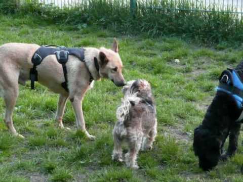 Ankunft Azim und Azima