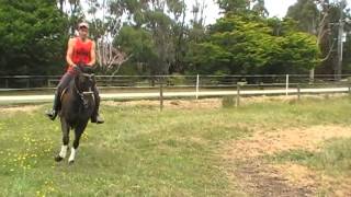 Blaze - Elevation and Presence!!!!