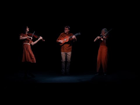 Daphnus, 2 Polonäsen, Ye Clarges Lamentation