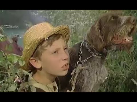 Orlovi Rano Lete --- Domači igrani film