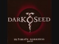 Darkseed- Paint it black 