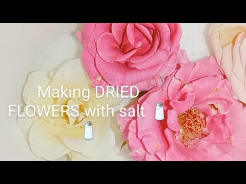 making DRIED FLOWERS with salt 🧂🧂🌺🌺🌹