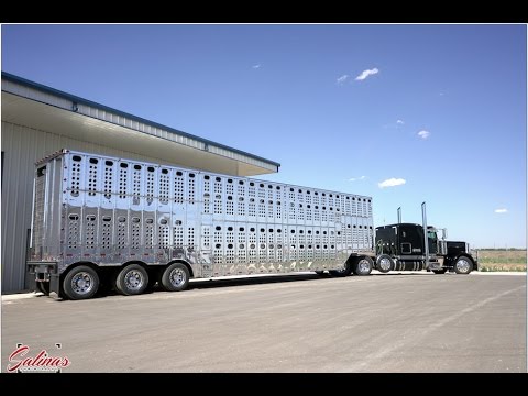 Polishing a HUGE aluminum Cattle trailer! THE BEST...