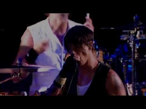 Red Hot Chili Peppers Live @ Reading And Leeds 2007