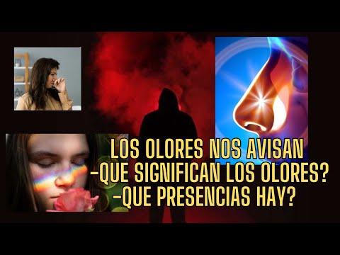 LOS OLORES NOS AVISAN, DESCUBRE QUE SIGNIFICAN Y QUE ENTIDADES ESTAN ASOCIADAS A LOS OLORES