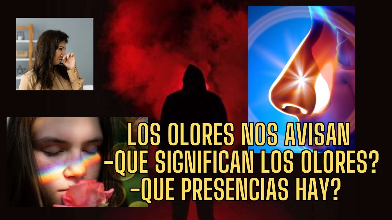 LOS OLORES NOS AVISAN, DESCUBRE QUE SIGNIFICAN Y QUE ENTIDADES ESTAN ASOCIADAS A LOS OLORES