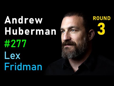 Andrew Huberman: Focus, Stress, Relationships, and Friendship