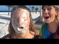Don T Look Away Best Fails Of The Week