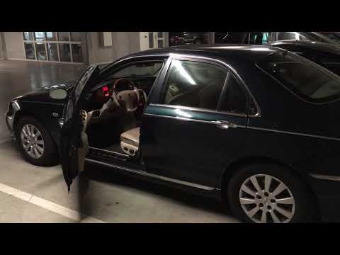 Rover 75 2.5 V6 - Cold Start