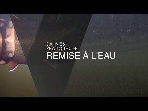 Saines pratiques de remise à l’eau