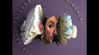 WIN WIN "Been So Long" (Larry Gus Remix)