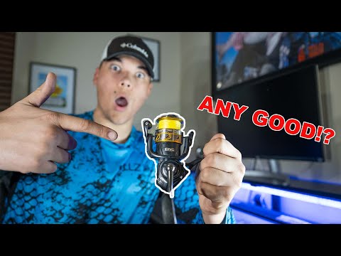 Penn Battle iii Honest Review After One Year