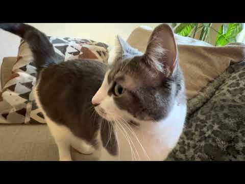 Yandi was the chosen one