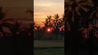 . Ubud Sunrise — Crystal-Clear Blue Sky, Agung’s Ridges — 7-Nov-2025 #nature
