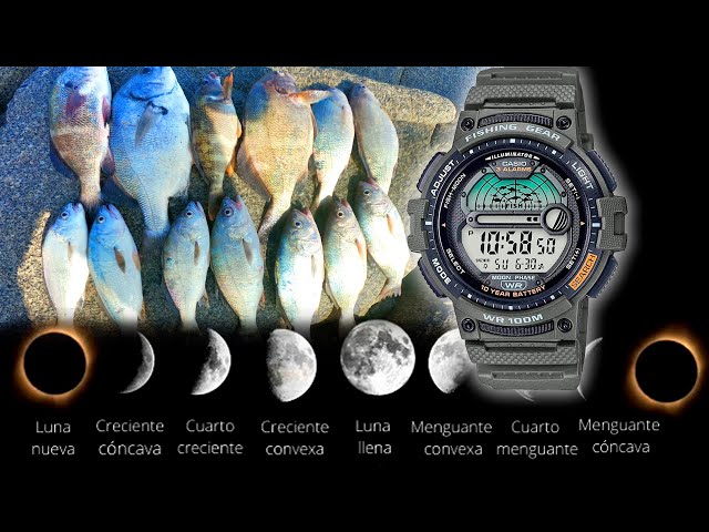 Vídeo relacionado con Relojes de pulsera para hombre, reloj clásico resistente al agua, reloj de fase lunar analógico brillante para trabajo, pesca, deportes, montañismo y actividades, negro, Refer to description, Unisex