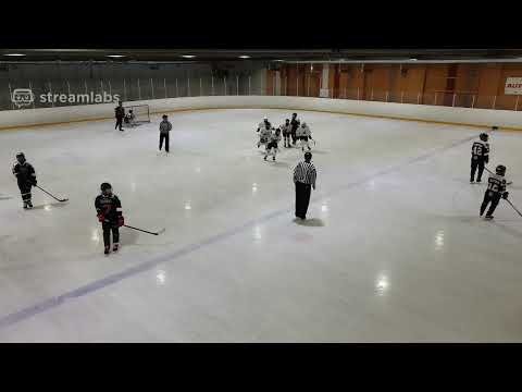 U14 AA / JYP Punainen - Jyki Tiikerit / 7.3.2021 klo 16:30 HH1