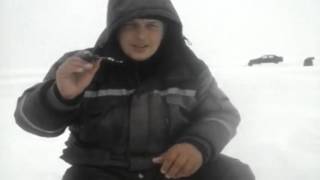 Рыбалка на волге в марий-эл