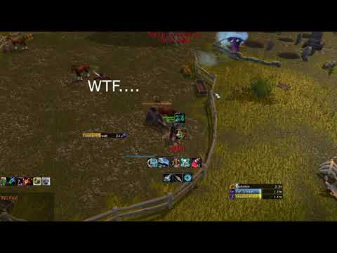 Hunter BM PVP warmane (WOTLK)