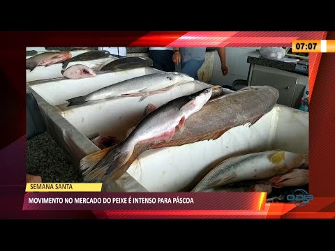 Mercado do Peixe terá regras para evitar aglomerações na Semana de Páscoa 31 03 2021
