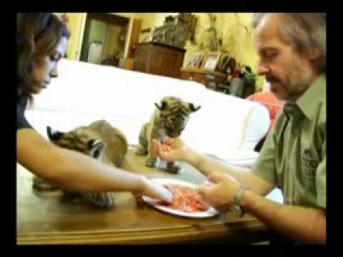 amansamiento zoo lujan 1