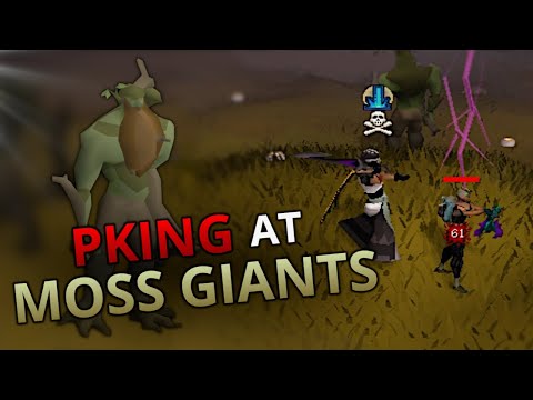 Loot From 10 Hours Of Pking At Moss Giants