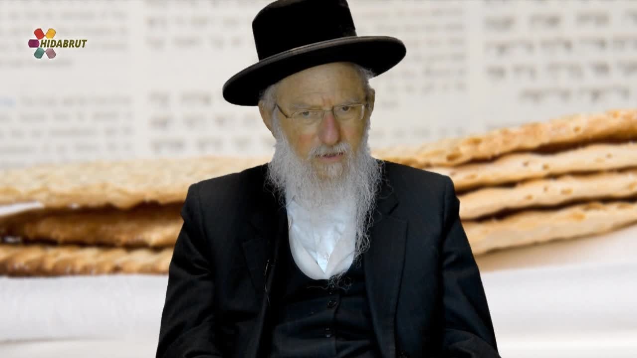 The Hidden Depths of the Passover Haggadah - Part 2 - Rabbi Dr. David Gottlieb