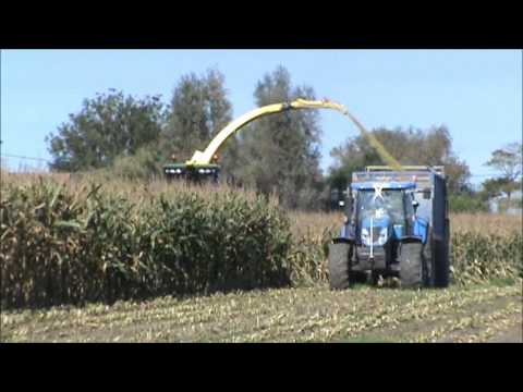 Loonw. Boon - Woumen