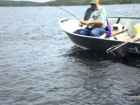 Lake Metionga 43" Northern