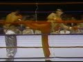 Don Wilson vs Dennis Alexio 3-29-84