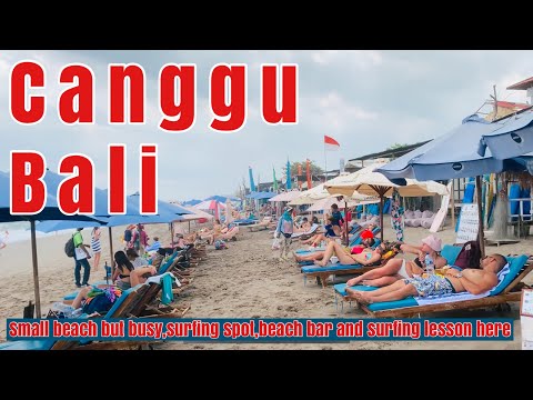 Canggu Bali || This beach full of visitors #canggu #bali #indonesia