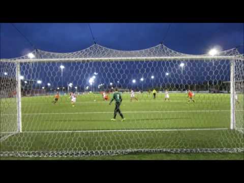 Kunstgrasvelden bij V.V. De Meern