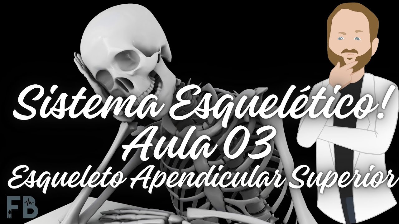 Sistema Esquelético - #Aula 03 -  Esqueleto Apendicular Superior / Prof. Felipe Barros