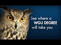 Western Governors University - WGU