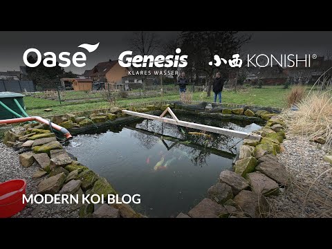 Modern Koi Blog #5898 - A water analysis at Michael's pond