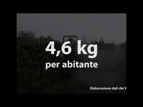 Pesticidi a casa nostra