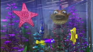 Finding Nemo - Gurgle and Bloat Argument 