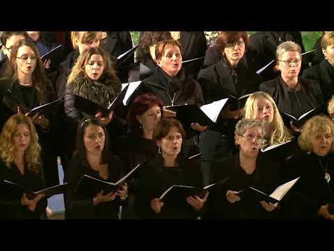LVHF 2017: W. A. Mozart - Requiem D-moll, K.626 (V. Sanctus)