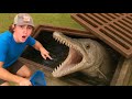 I Found A Sewer Full Of Rare Fish