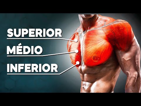 The Science Behind the Perfect CHEST WORKOUT!