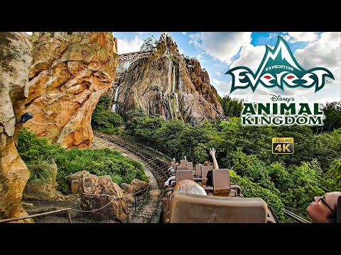 Expedition Everest Roller Coaster On Ride Low Light 4K POV Disney's Animal Kingdom 2024 09 20