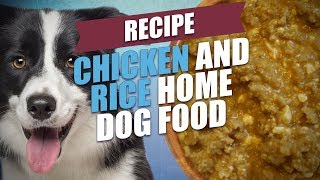Chicken and Rice Home Dog Food Recipe (Healthy)