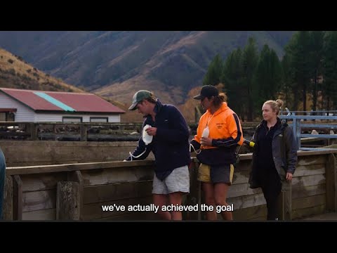 Coming up the home straight - A high country journey to TB freedom in New Zealand