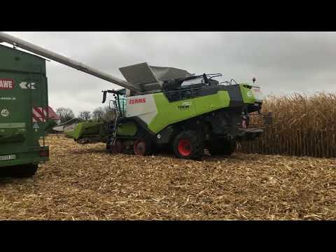 Claas Trion 750 with Corio Stubble Cracker harvesting corn in Germany