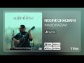 Majid Razavi Lyrics Video Negine Ghalbami آهنگ نگین قلبمی مجید رضوی با متن
