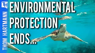 Can We Survive Rollback Of Enviromental Law? (w/ Jayson O'Neill)